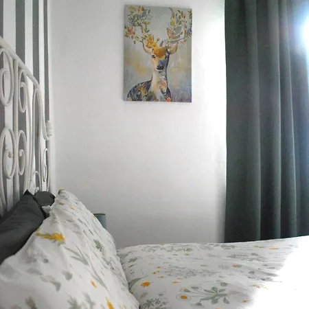 Bed & Breakfast Le Stanze Di Alicam *