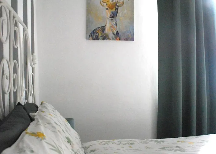 Bed & Breakfast Le Stanze Di Alicam 4*